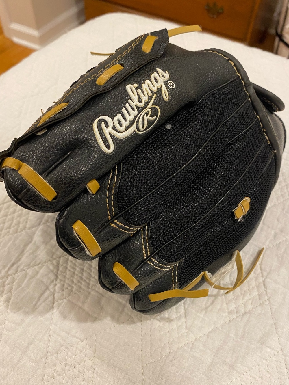 Rawlings 10" Baseball Glove PL10MB Players Series Performance Design